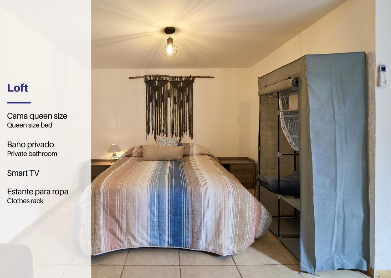Cozy Studio In Roma Norte 멕시코 시 외부 사진